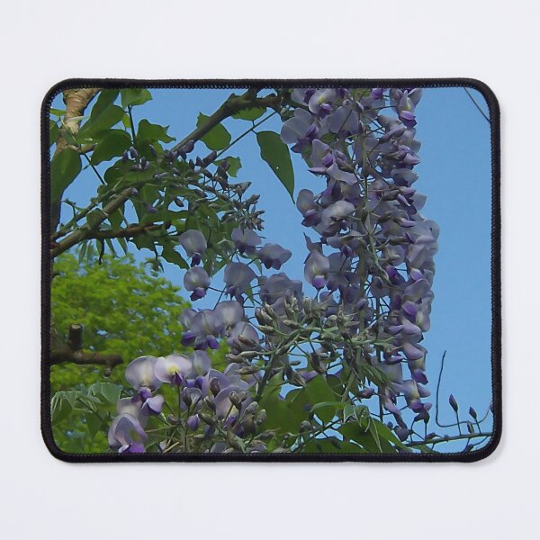 Item preview, Wisteria III designed and sold by Katy Fryd.