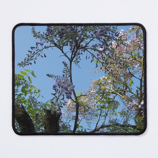 Item preview, Wisteria V designed and sold by Katy Fryd.