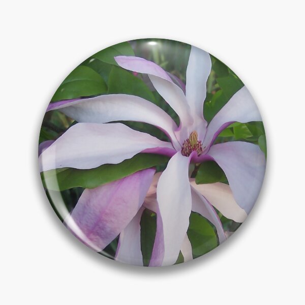 Item preview, Magnolia I designed and sold by Katy Fryd.