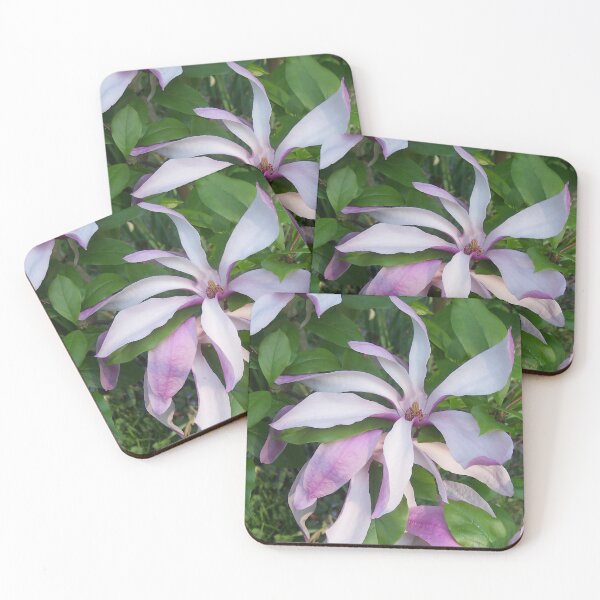 Item preview, Magnolia I designed and sold by Katy Fryd.