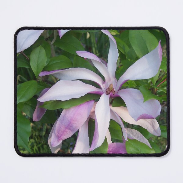 Item preview, Magnolia I designed and sold by Katy Fryd.