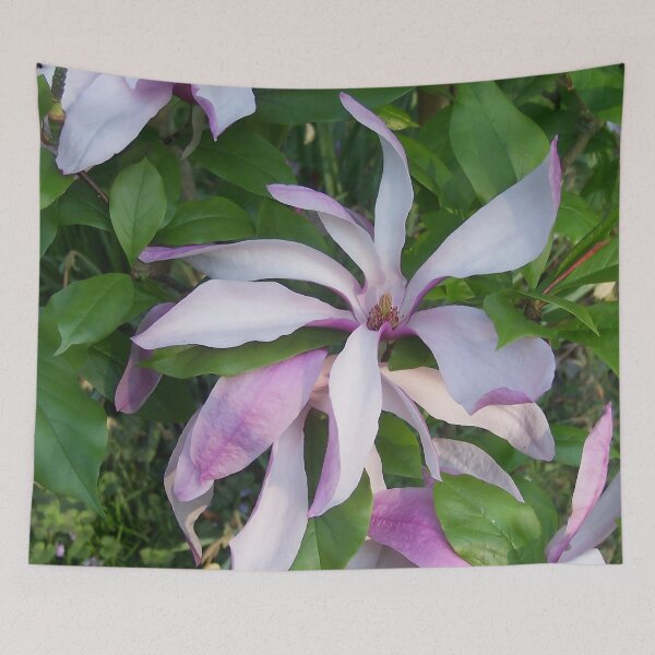 Item preview, Magnolia I designed and sold by Katy Fryd.