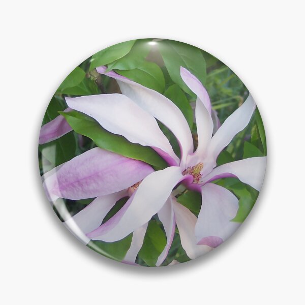 Item preview, Magnolia II designed and sold by Katy Fryd.