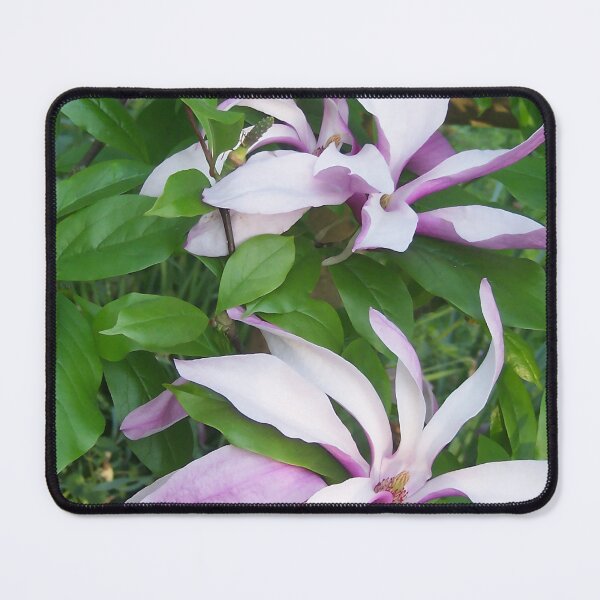Item preview, Magnolia II designed and sold by Katy Fryd.