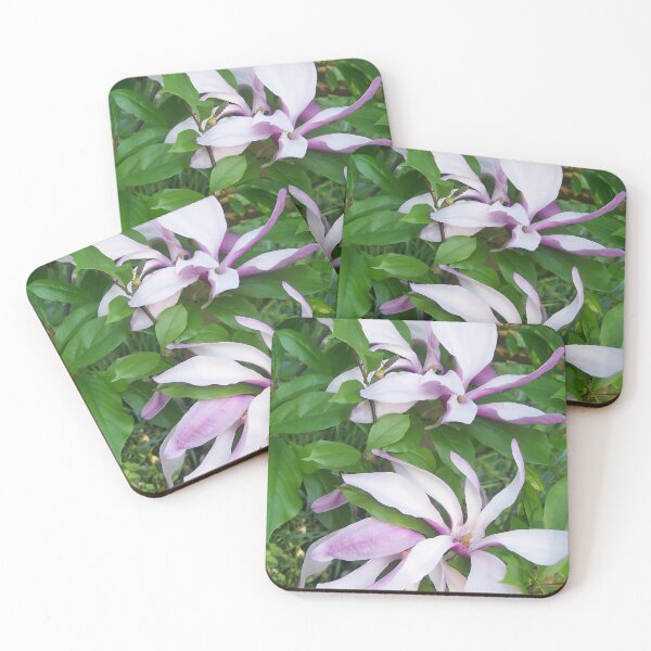 Item preview, Magnolia II designed and sold by Katy Fryd.