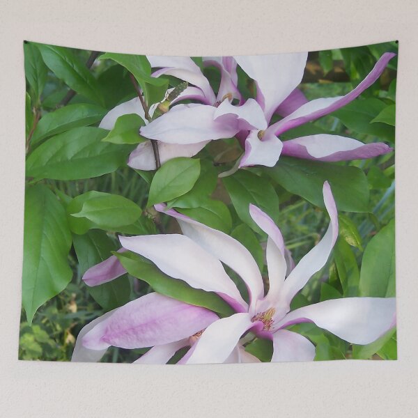 Item preview, Magnolia II designed and sold by Katy Fryd.