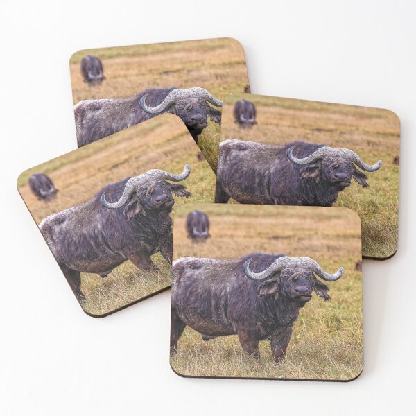 Item preview, A Cape Buffalo and His Bird in the Ngorogoro Crater, Tanzania designed and sold by Kay Brewer.