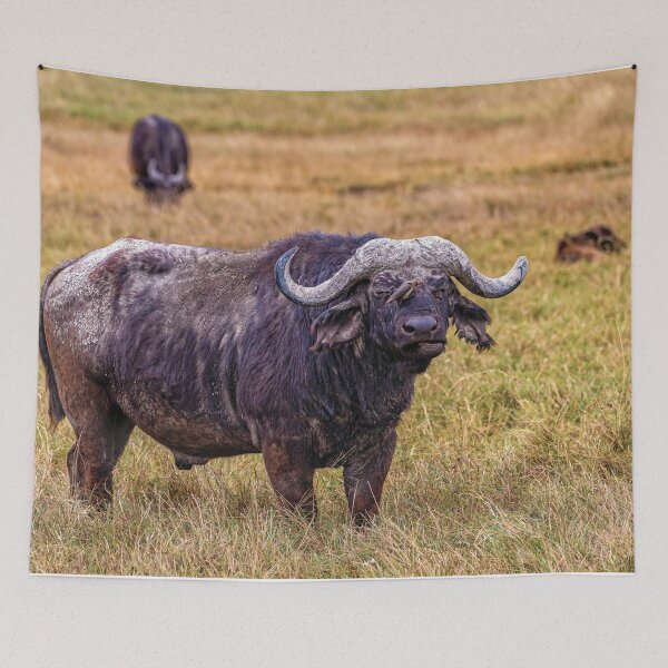 Item preview, A Cape Buffalo and His Bird in the Ngorogoro Crater, Tanzania designed and sold by Kay Brewer.