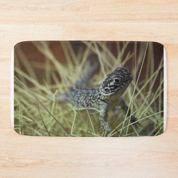 Item preview, Central netted dragon designed and sold by Lynalinalee Photography .
