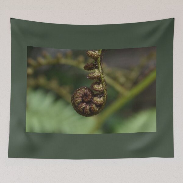 Item preview, The beauty within the fern designed and sold by Lynalinalee Photography .