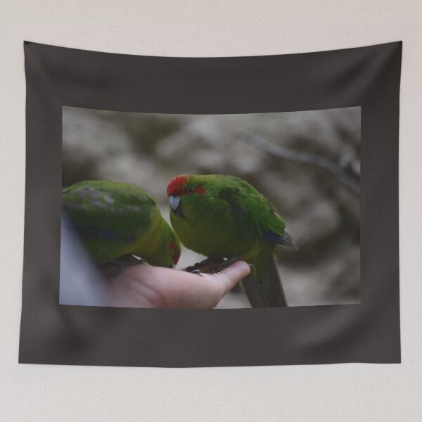 Item preview, Red-crowned Parakeets designed and sold by Lynalinalee Photography .