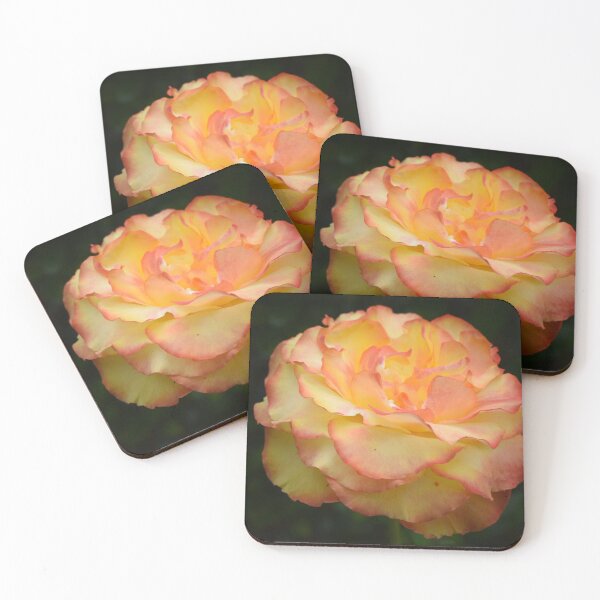 Item preview, The tequila sunrise rose designed and sold by Lynalinalee Photography .