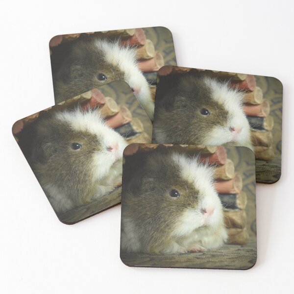 Item preview, Sid the guinea pig designed and sold by Lynalinalee Photography .
