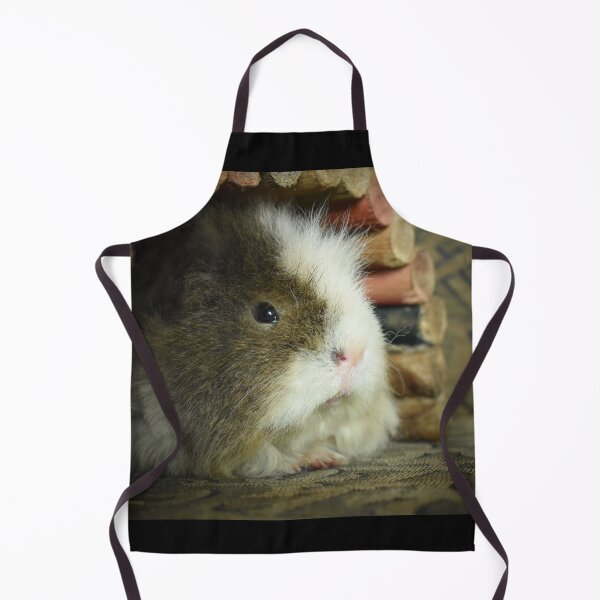 Item preview, Sid the guinea pig designed and sold by Lynalinalee Photography .