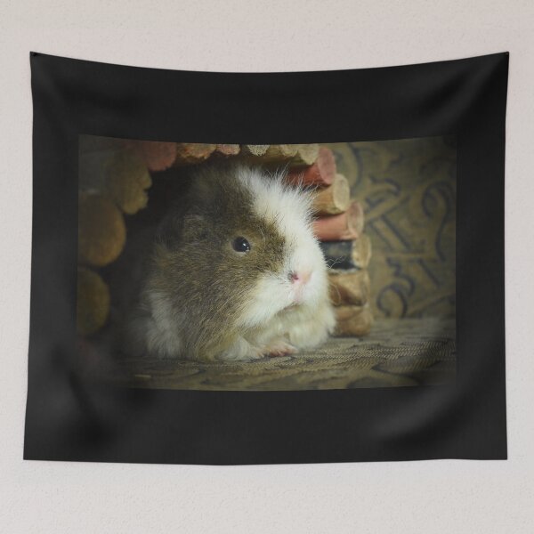 Item preview, Sid the guinea pig designed and sold by Lynalinalee Photography .