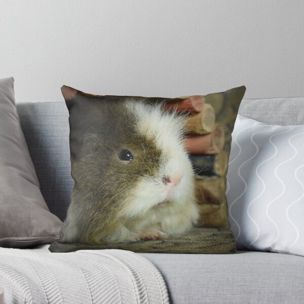 Item preview, Sid the guinea pig designed and sold by Lynalinalee Photography .