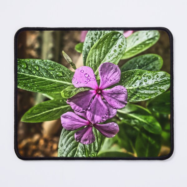 Item preview, purple flower after the rain designed and sold by seasandlands.