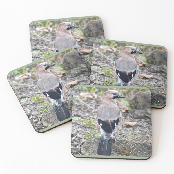 Item preview, Wildlife Bird designed and sold by StylishDecor.