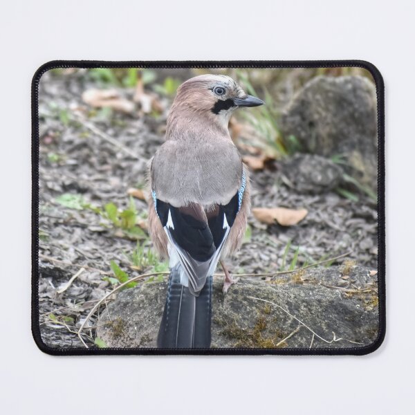 Item preview, Wildlife Bird designed and sold by StylishDecor.
