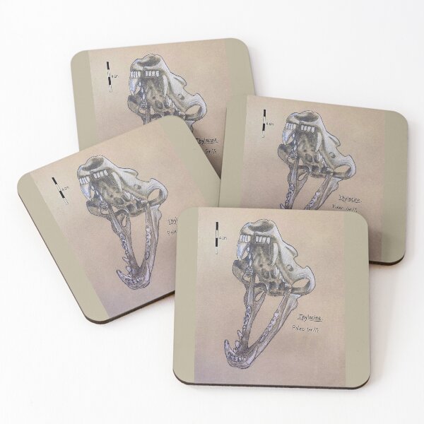 Item preview, Thylacine - Tasmanian Tiger scientific Illustration  designed and sold by Paleo Griff.