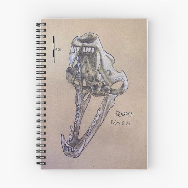 Item preview, Thylacine - Tasmanian Tiger scientific Illustration  designed and sold by Paleo Griff.