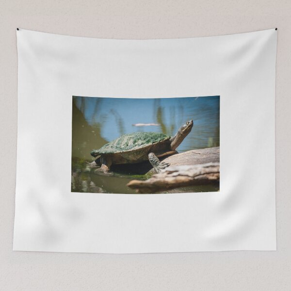 Item preview, The Turtle  designed and sold by D-GaP.