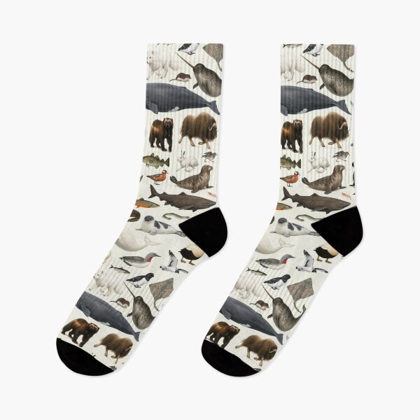 Item preview, Animals of the Arctic Retro Style Identification Chart designed and sold by kakarikihill.