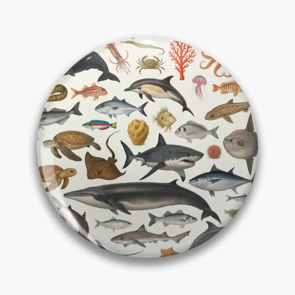 Item preview, Marine Life of the Mediterranean Identification Chart designed and sold by kakarikihill.