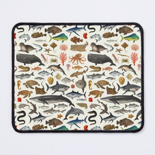 Item preview, Marine Life of the Mediterranean Identification Chart designed and sold by kakarikihill.