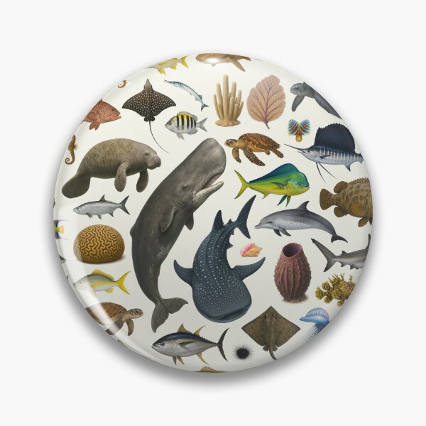 Item preview, Marine Life of the Caribbean Identification Chart designed and sold by kakarikihill.