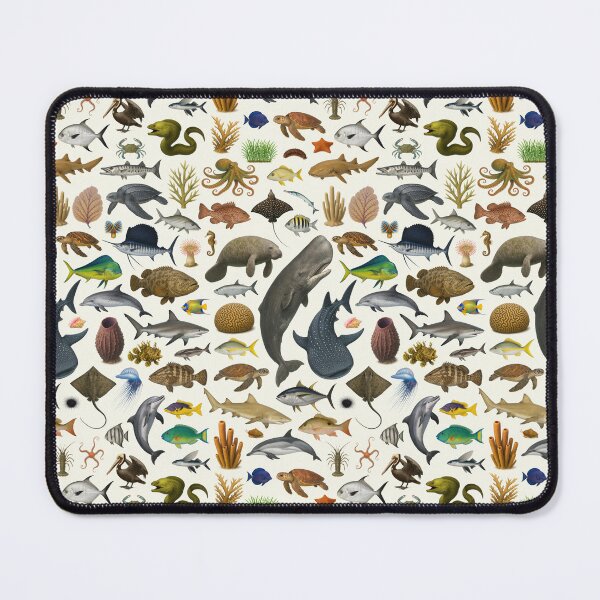 Item preview, Marine Life of the Caribbean Identification Chart designed and sold by kakarikihill.