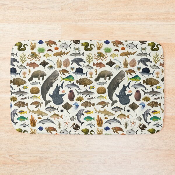 Item preview, Marine Life of the Caribbean Identification Chart designed and sold by kakarikihill.