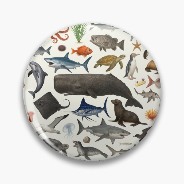 Item preview, Marine Life of New Zealand Identification Chart designed and sold by kakarikihill.