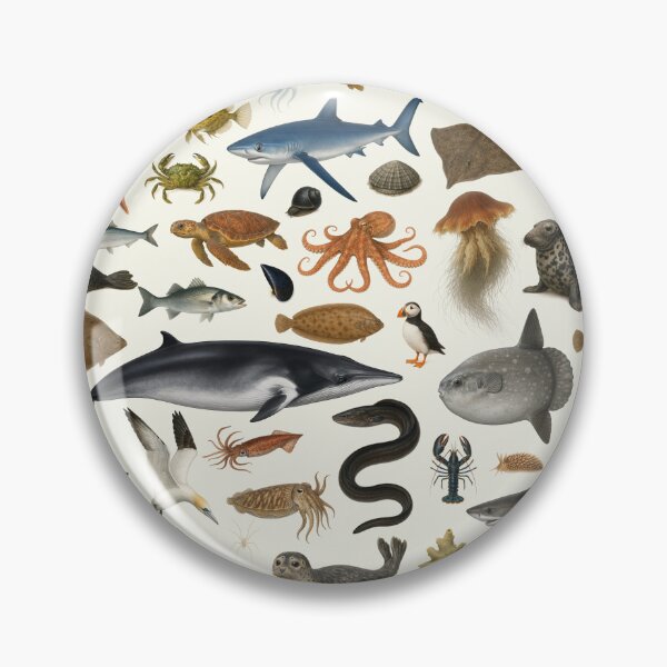 Item preview, Marine Life of the British Isles Identification Chart designed and sold by kakarikihill.
