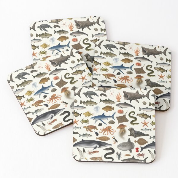 Item preview, Marine Life of the British Isles Identification Chart designed and sold by kakarikihill.