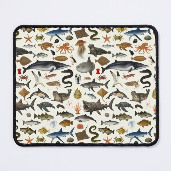 Item preview, Marine Life of the British Isles Identification Chart designed and sold by kakarikihill.