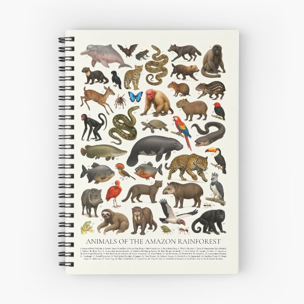 Item preview, Animals of the Amazon Rainforest Wildlife Identification Chart designed and sold by kakarikihill.