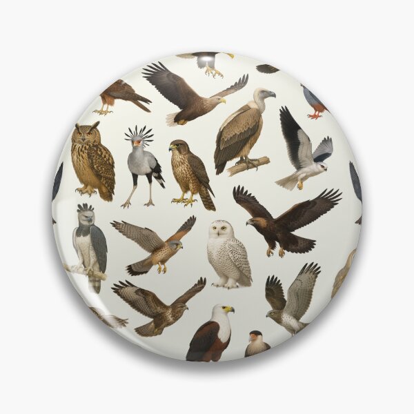 Item preview, Birds of Prey Retro Raptor Identification Style Chart designed and sold by kakarikihill.