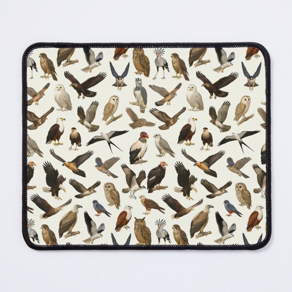 Item preview, Birds of Prey Retro Raptor Identification Style Chart designed and sold by kakarikihill.