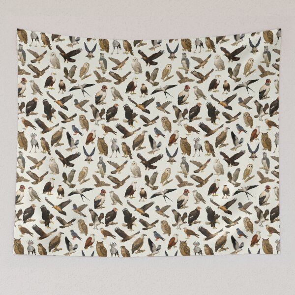 Item preview, Birds of Prey Retro Raptor Identification Style Chart designed and sold by kakarikihill.