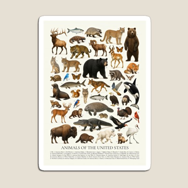 Item preview, Animals of the United States Wildlife Identification Chart designed and sold by kakarikihill.