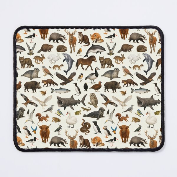 Item preview, Cuadro retro de identificación de fauna silvestre de los animales de las Islas Británicas designed and sold by kakarikihill.