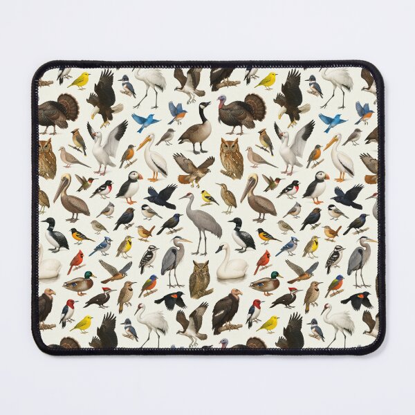 Item preview, Birds of North America Retro Wildlife Identification Chart designed and sold by kakarikihill.
