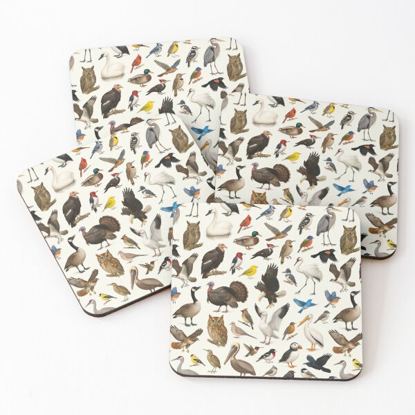 Item preview, Birds of North America Retro Wildlife Identification Chart designed and sold by kakarikihill.