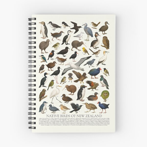 Item preview, Native Birds of New Zealand Retro Identification Chart designed and sold by kakarikihill.