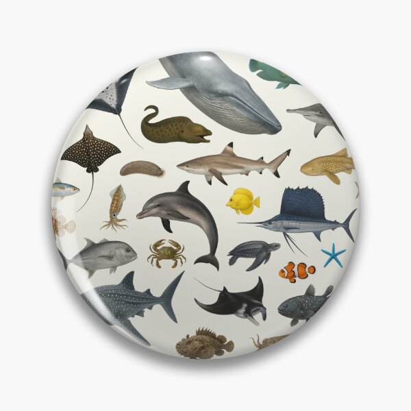 Item preview, Marine Life of the Indian Ocean Identification Chart designed and sold by kakarikihill.