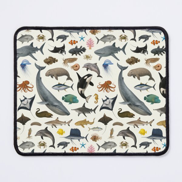 Item preview, Marine Life of the Indian Ocean Identification Chart designed and sold by kakarikihill.
