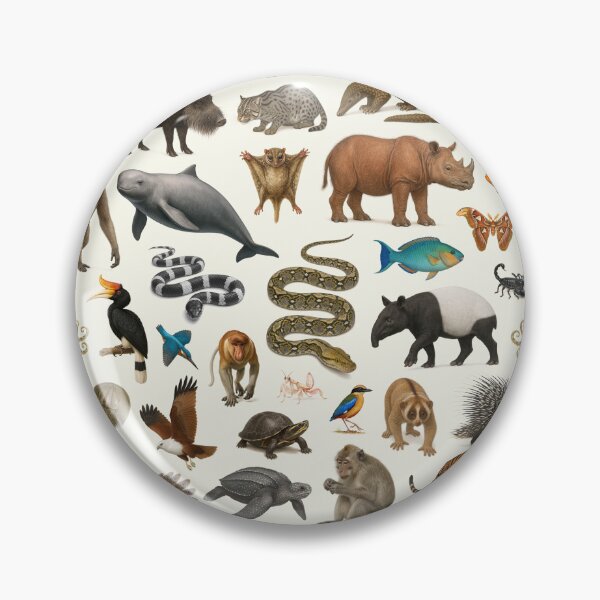 Item preview, Animals of Malaysia Retro Wildlife Identification Chart designed and sold by kakarikihill.