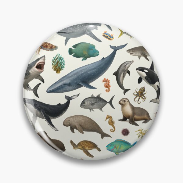 Item preview, Marine Life of Australia Retro Wildlife Identification Chart designed and sold by kakarikihill.