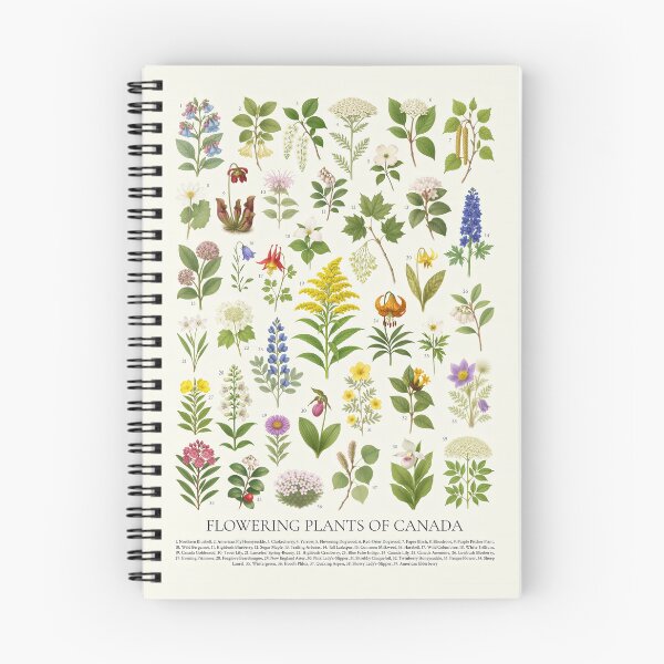 Item preview, Flowers of Canada Retro Botanical Plant Identification Chart designed and sold by kakarikihill.